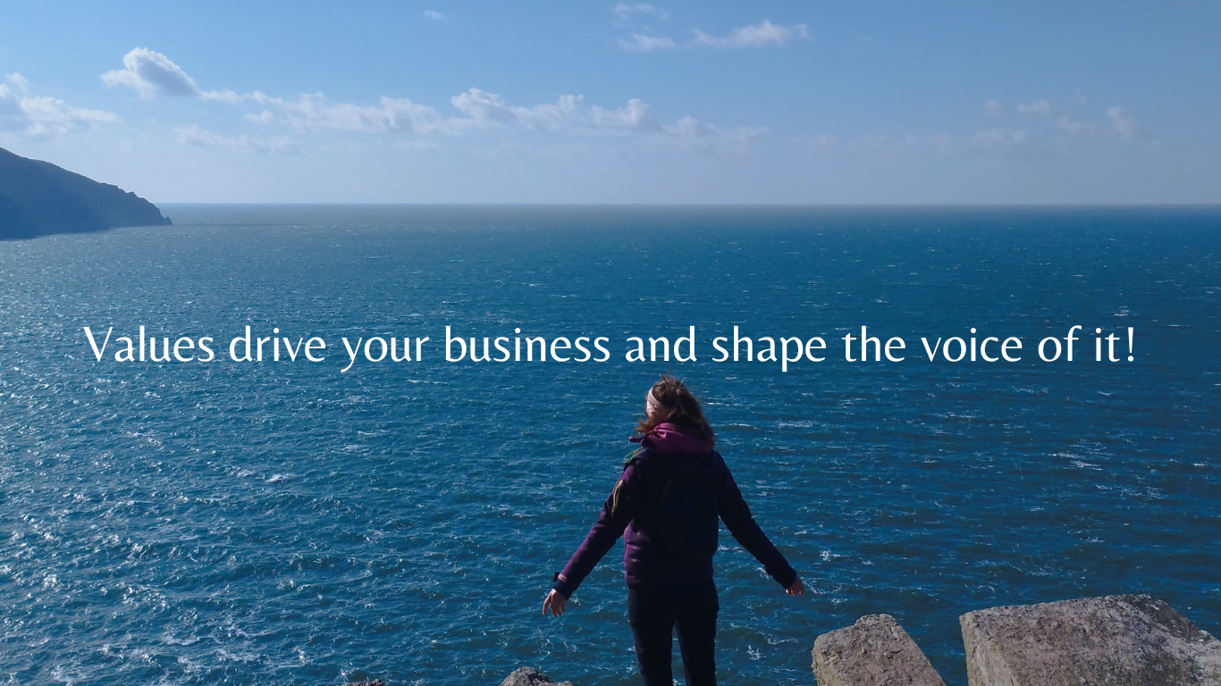 a beautiful view of the sea to represent the direction that values give to a business