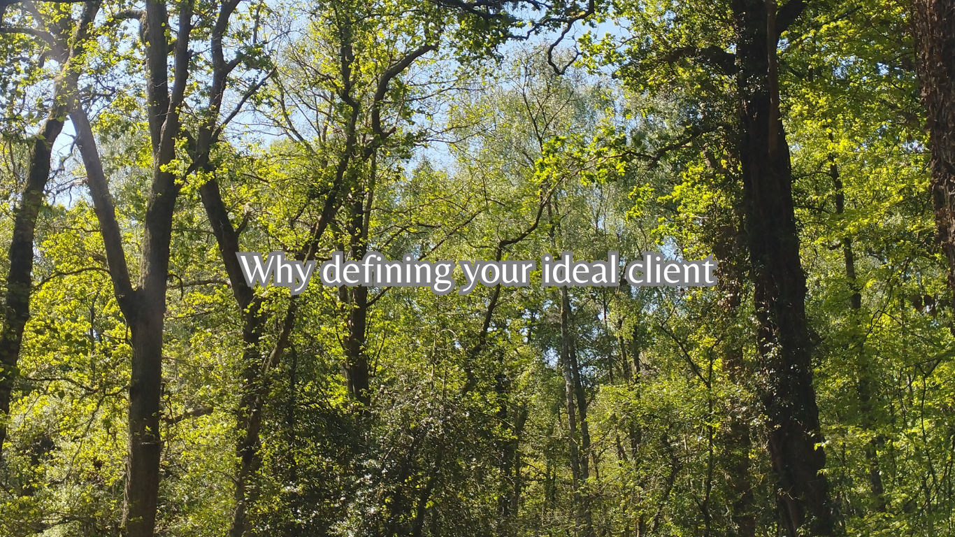 why niching your audience